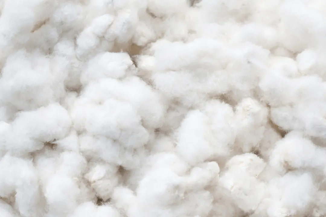 Materials_and_Innovation_Glossary_Module_Cotton_1080x720