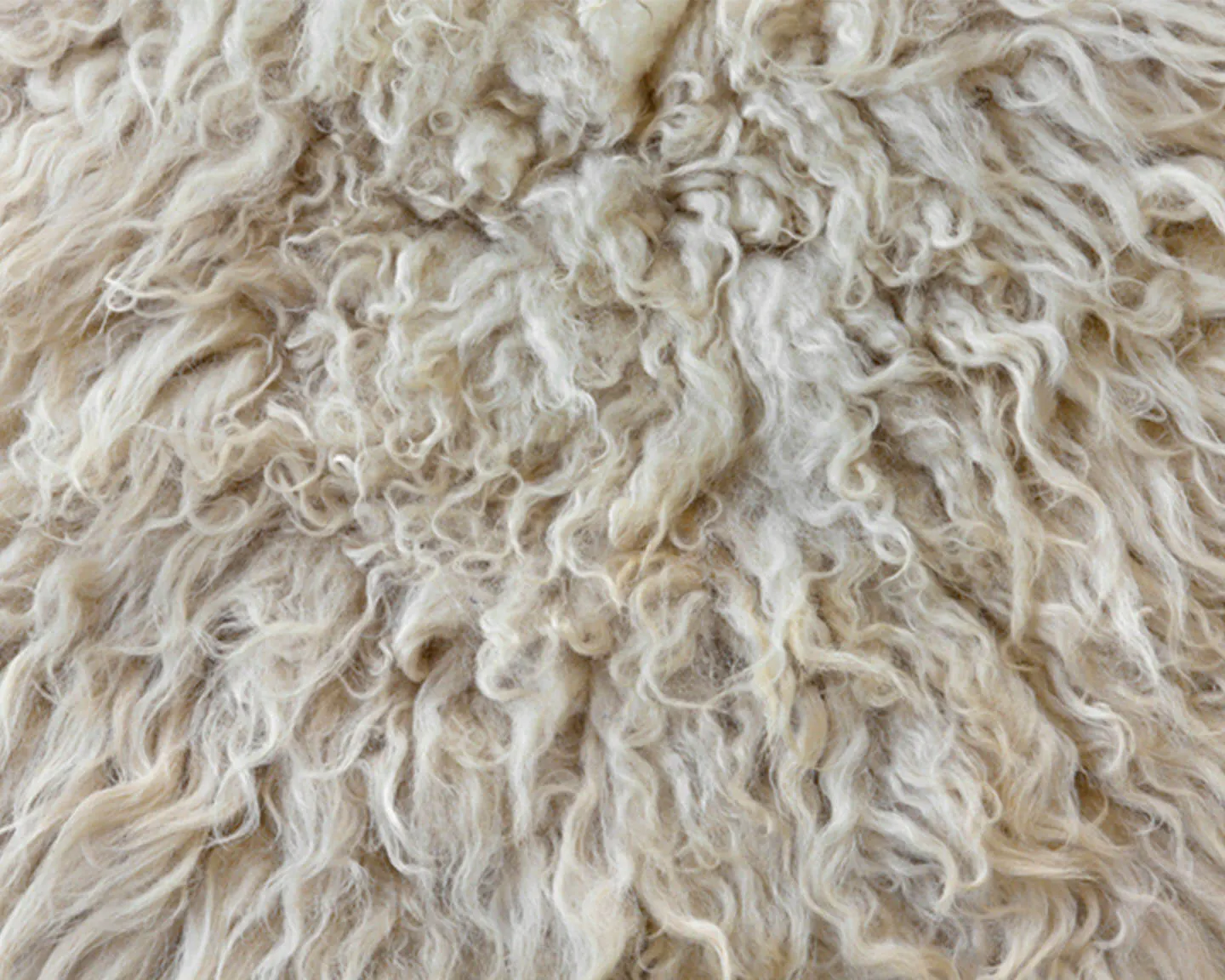 Materials_and_Innovation_Split_Module_03_1440x1152px